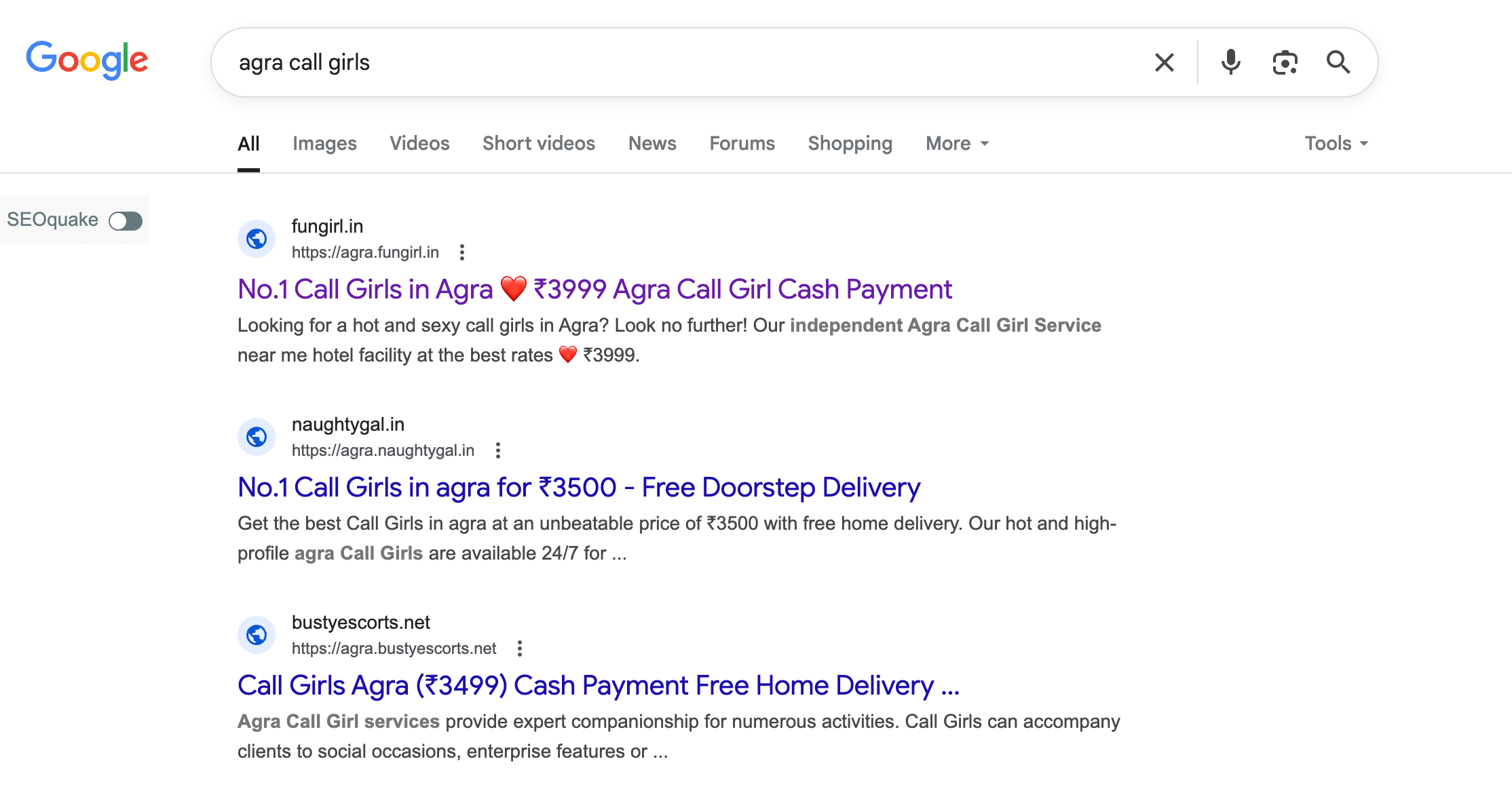 Agra Call Girls Google's Trusted